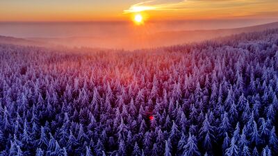 The sun rises over the frozen trees of the Taunus region near Frankfurt. AP