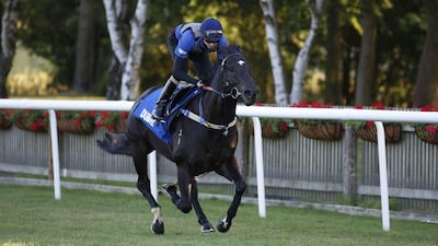 James Doyle rides Brazen Beau on the July course prior to running in The July Cup in Newmarket. Alan Crowhurst / Getty Images / July 9, 2015