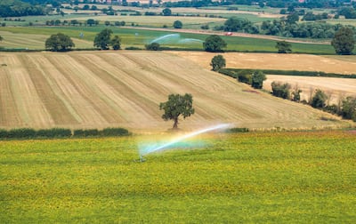 The UK county of Shropshire has an unlikely link to Formula One racing in Abu Dhabi. Getty Images