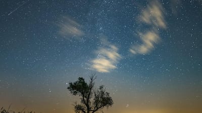 A shooting star is seen on the night sky during the Perseid meteor shower in Jankowo, near Poznan, Poland. Lukasz Orgodowczyk / EPA
