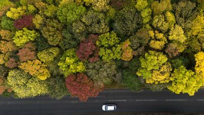 Motorists in Ansty in Warwickshire pass woodland showing autumnal colour. PA