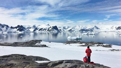 Travellers in Antarctica. Photo: Unsplash