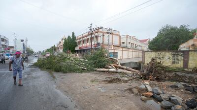 A man walks past an uprooted tree in Mandvi ahead of Cyclone Biparjoy's landfall. AP
