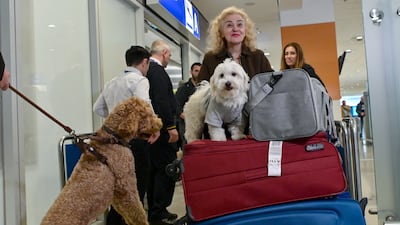 The special repatriation flight welcomed 101 passengers and 45 pets. Getty Images