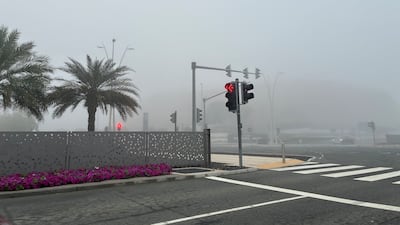 Yas Island. Reena Ratan / The National