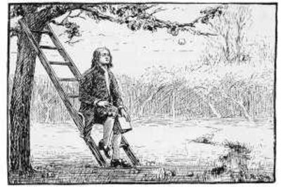 Isaac Newton is supposed to have been inspired to formulate his law of gravity when an apple fell on his head.