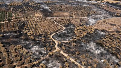The Alexandroupolis wildfire in Evros is the largest on record in the EU