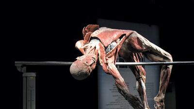 Dr Gunther von Hagens’ renowned touring exhibition of preserved human bodies has been captivating visitors for close to a quarter of a century.