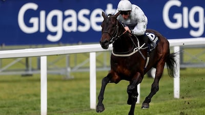 File photo of Dee Ex Bee during the the Longines Sagaro Stakes at the Royal Ascot Trials Day. Getty Images