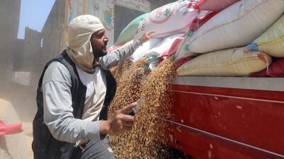 Workers unload wheat at the Banha grain silos.