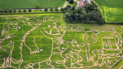 This year's York Maze is celebrating 25 Years of The Gruffalo. PA
