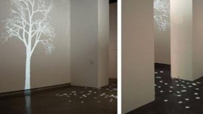 Projected on to walls, Tree evolves in response to its surroundings, losing a leaf whenever someone passes it.