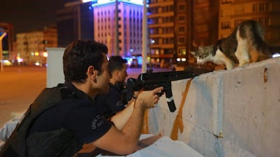 A cat looks on as a policeman aims his weapon during an attempted coup, in Istanbul, Turkey July 16, 2016. REUTERS/Kemal Aslan TPX IMAGES OF THE DAY