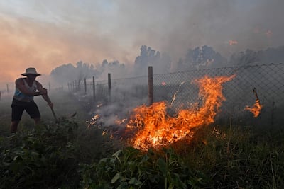 A fire rages in the north-western coastal town of Tabarka. AFP