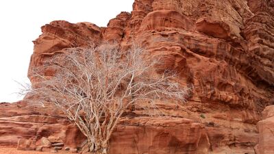Wadi Rum was chosen as one of the locations for the project because of the wind erosion to the basalt and sandstone rock in the area. Photo: EPA-EFE