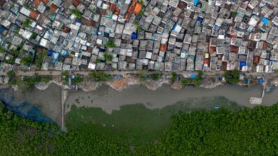 'The Nurturing Wetland' by Rakesh Pulapa (India). Category: Highly commended, Wetlands - The Bigger Picture. Photo: Natural History Museum