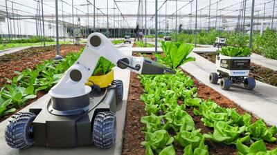 The Agriculture Innovation Mission for Climate aims to make agriculture more resilient and climate friendly. Photo: AIM for Climate