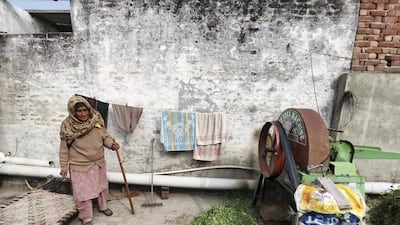 Gurmeet Kaur chops fresh fodder for the family's buffaloes in a chaff cutter.