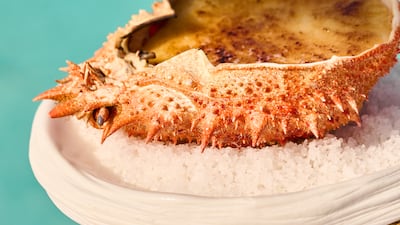 Gourmet food and great views await at Urla.