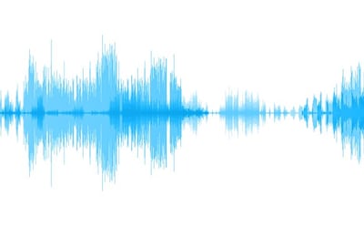 The plant frequency cannot be heard by human ears. Photo: Tel Aviv University