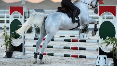 Courtesy Al Habtoor Polo Resort and Club