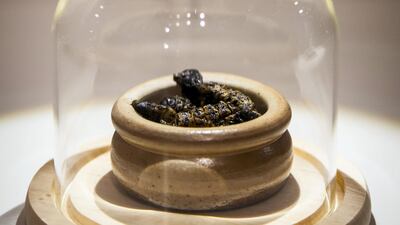 Mopane worms from Zimbabwe: the caterpillars of a species of emperor moth are usually served fried with tomatoes, onion and garlic, and are highly nutritious, although they tend to taste like drywall. Photo by Anja Barte Telin