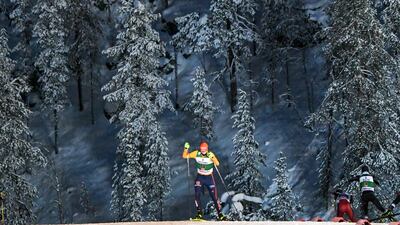 The migrants were duped into paying money to think they had reached a Finnish forest. EPA