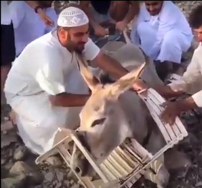 Salem Al Kaabi and his friends and family free a wild donkey from a chair. Courtesy: Salem Al Kaabi