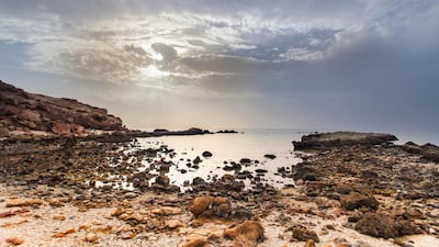 Sir Bu Nair Island in charge of Sharjah government. A new tourist complex is projected in the island lead by Shurooq-Sharjah Investment Auhtority. Courtesy of Shurooq