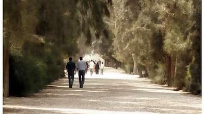 The Sekem farm, which has thrived on its founder's ideals of organic farming and fair trade, employed about 2,000 people last year. Its programmes are open to employees and nearby villagers.