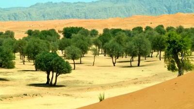 Camping in the desert without amenities is not hard to do as long as you've worked out the arrangements in advance. Paolo Rossetti for The National