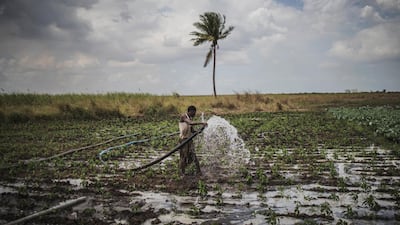 A farmer carries a hose to water his field in Tica, near Beira in Mozambique. Africa offers investment opportunities across sectors, including agriculture, as countries look to modernise their infrastructures. AFP