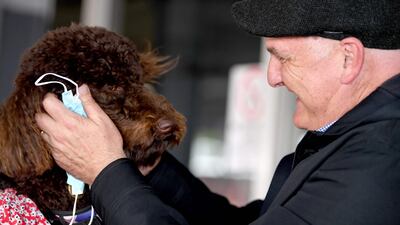 Sydney’s international airport hosted tearful reunions, such as this one of a man and his pet. AFP