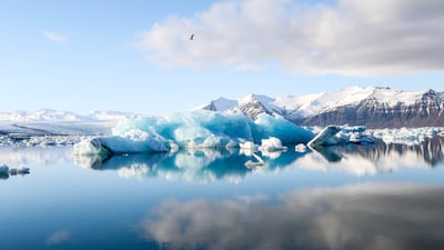 Icebergs in Jokulsarlon, Iceland.