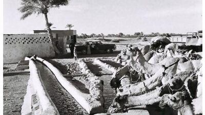 A falaj canal near Al Ain, from the early 1970s, around the time that tap water was introduced to the area.