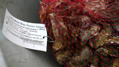 A bag of freshly harvested Drakes Bay Oysters sit on a bin on April 16, 2014 in Inverness, California. Lunny reportedly responds that his farm is ‘the epitome of sustainable food production,’ and oysters have improved the water quality by filtering out particulate matter as they feed and were helping the eelgrass to flourish since the early 90s. Justin Sullivan / Getty Images / AFP