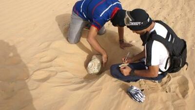 Ali al Meqbali and Hamdan al Rashedi, top, and the rest of their team, above, have a passion for the archaeological digs they undertake, which has led to the discovery of many treasures, such as these pots which date from the first millennium BC and are now displayed at Al Ain Museum.