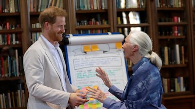 Prince Harry, Duke of Sussex, and Dr Goodall at a Roots & Shoots Global Leadership meeting at Windsor Castle in July 2019. Getty Images