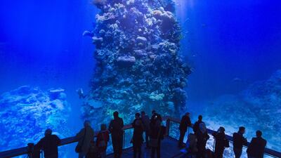 Visitors stand in front of the monumental panoramic artwork ‘Great Barrier Reef’, which is printed on cloth widths, of artist Yadegar Asisi during a press preview at the Asisi Panometer in Leipzig, central Germany. On a 1:1 scale, the panorama presents the unique underwater world of the coral reef off the coast of Australia in all its fragile beauty and complexity. Jens Meyer / AP