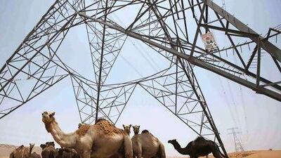 Dubai's power plants can be included in projects that aim for carbon emission reductions.