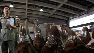 Customs officers stand next to part of a 33 rhino horns shipment seized by customs in Hong Kong. REUTERS