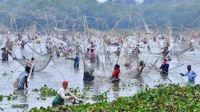 Villagers take part in a community fishing event during 'Bhogali Bihu' harvest celebrations at Goroimari Lake, in India's Assam state. AFP