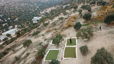 Syrian farmer Ayman Ibrahim harvesting Azolla aquatic ferns used as livestock feed in the town of Kafr Takharim in Syria's northwestern Idlib province. - To dodge skyrocketing prices for animal fodder in Syria's last major rebel bastion, farmer Ayman Ibrahim has turned to an aquatic fern used as a fertiliser in Asian rice paddies. Azolla is highly productive with the ability to double its weight in seven days, according to the UN Food and Agriculture Organisation. The plant is rich in proteins and has been used as a feed for cattle, fish and poultry in Vietnam; and for pigs in Singapore and Taiwan. AFP