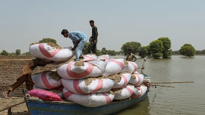 People transport cattle feed on a boat