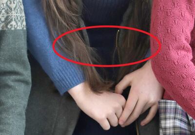 A horizontal line across the Princess of Wales's zip. PA