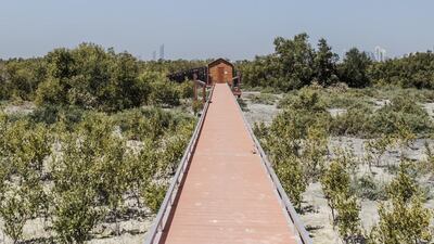 A bird watching hut at the Abu Dhabi mangroves.