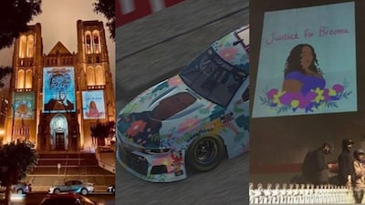 Shirien Damra's illustrations have been shared across the world. Instagram