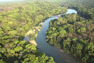 The Chinko reserve in the Central African Republic is almost twice the size of Yellowstone and is found in the wild and remote heart of the continent, near the borders of DR Congo and South Sudan. Here, the River Chinko winds through the south of this vast park, surrounded by lush tropical forest. In its waters are fish, crocodiles and hippo - all attractive targets for poachers who sneak into the reserve. Photo: Jack Losh