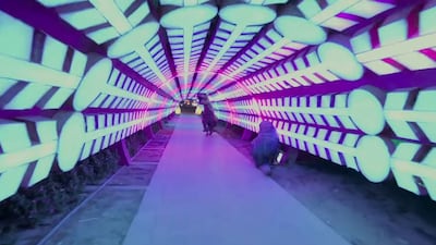 Contestants had to search for coloured dinosaur eggs at Dinosaur Park - while dressed like dinosaurs.