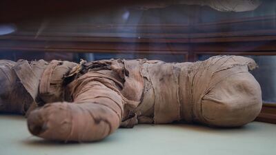 Radar scans are needed on three further mummies to determine if they were lions. EPA